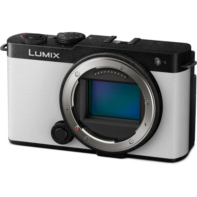 PANASONIC DC-S9NE-W