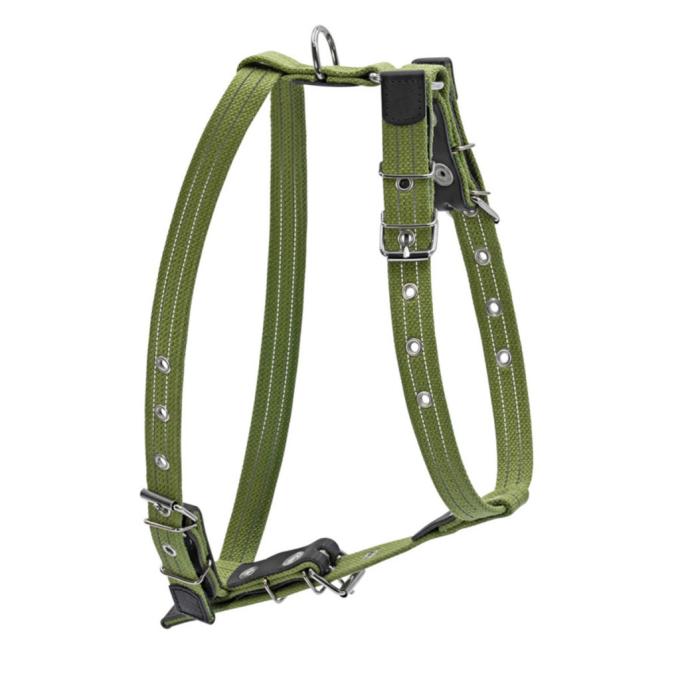 Collar 0637