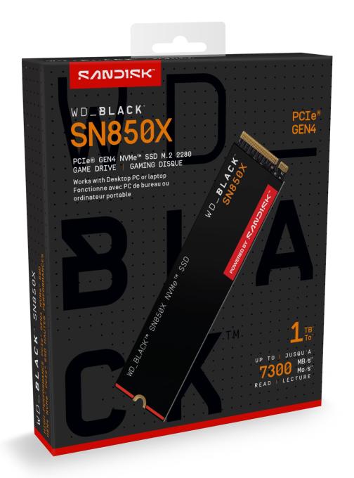 WD WDS100T2X0E