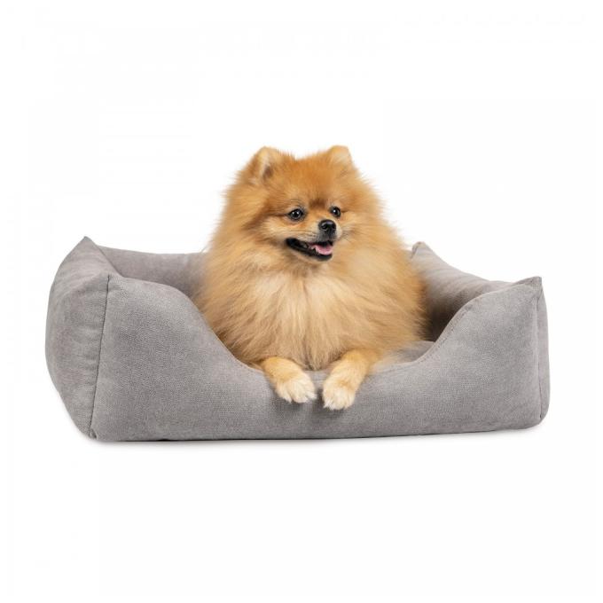 Pet Fashion 4823082430062