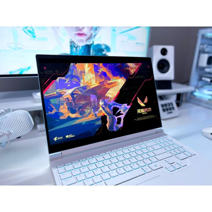 Thunderobot RS16-I9139HX56E1Q240ARC