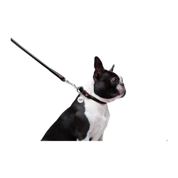 WAUDOG 33771
