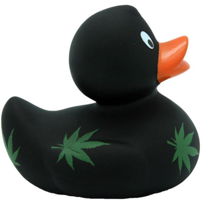 Funny Ducks L1051