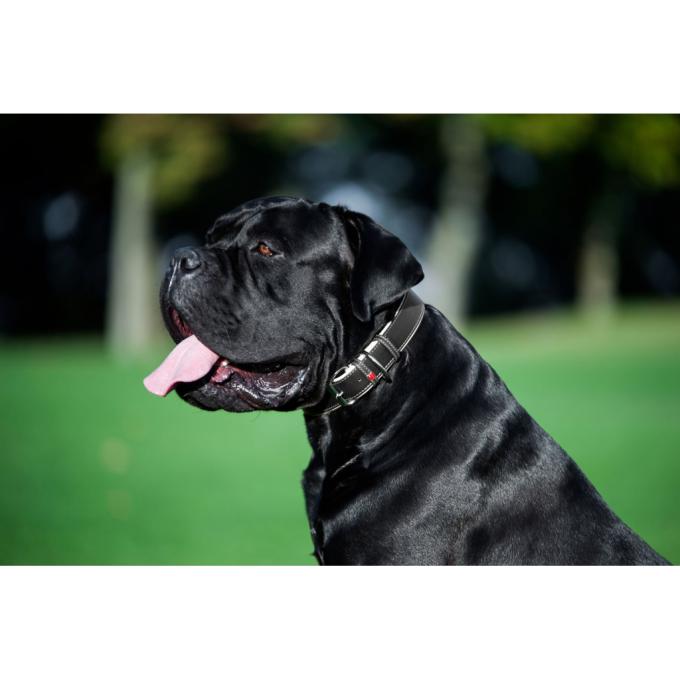 WAUDOG 7202