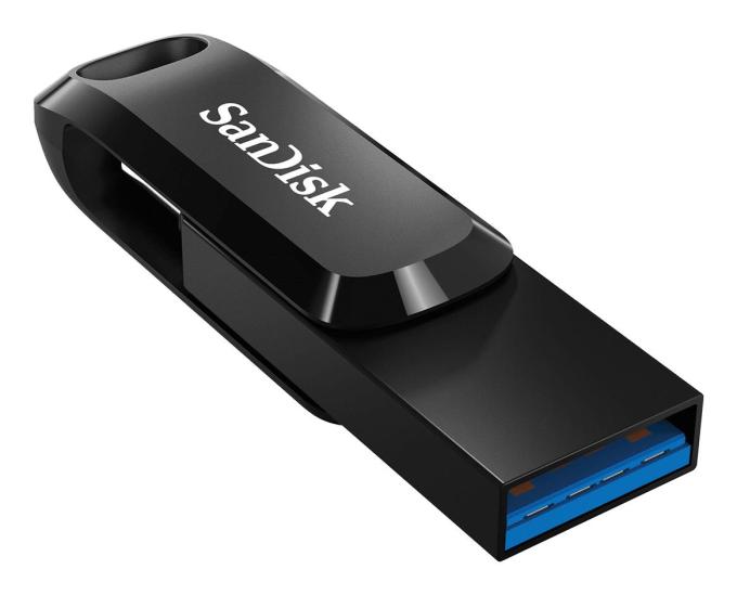 SANDISK SDDDC3-256G-G46