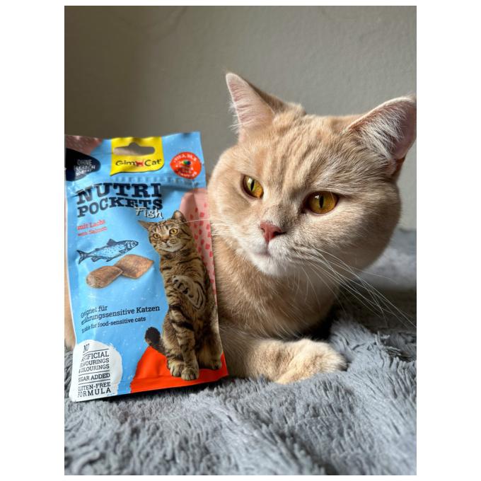 GimCat 4002064419626