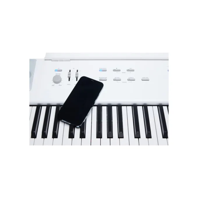 Kurzweil 530040