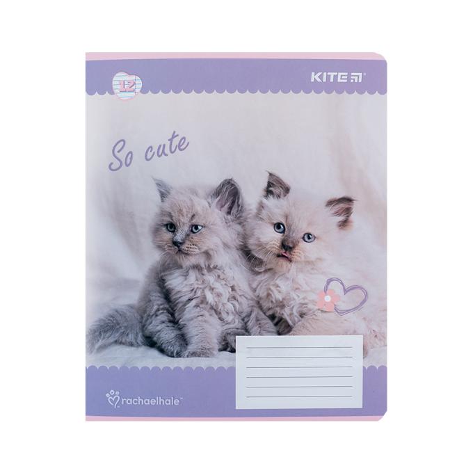 Kite R24-234
