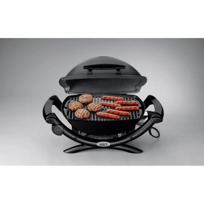 Weber 52020079