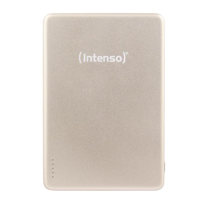 Intenso 7344021