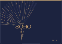 SOHO A130214