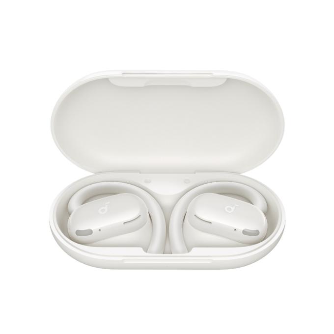 Anker A3876G21