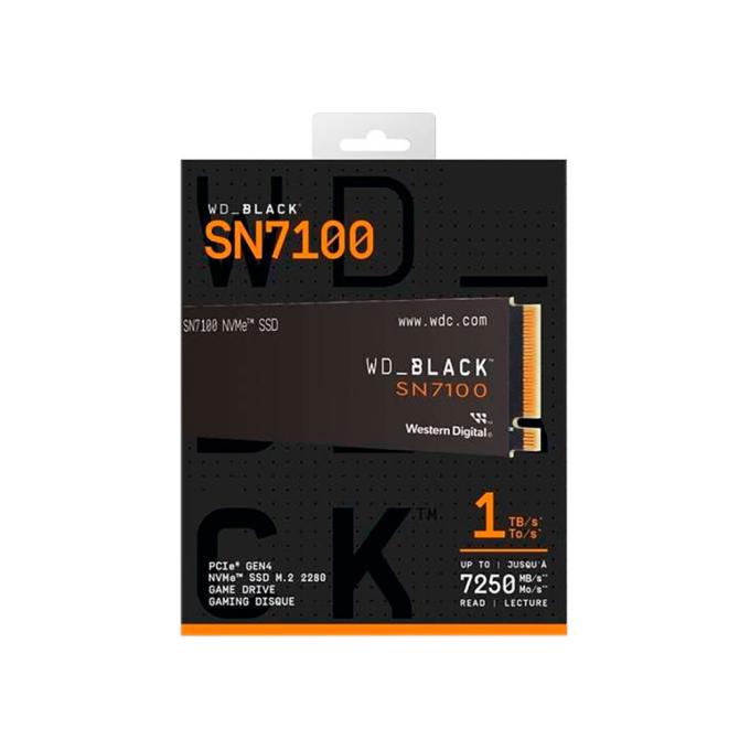 WD WDS100T4X0E