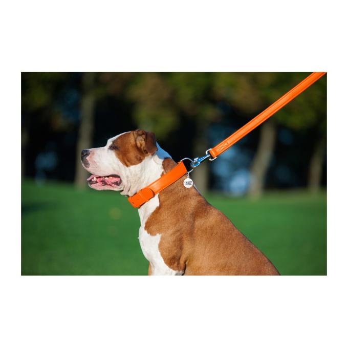 WAUDOG 33764