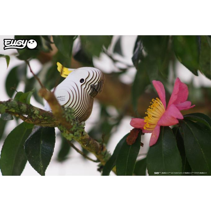 Eugy XEG-028