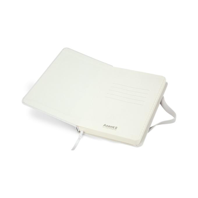 Axent 8301-21-A