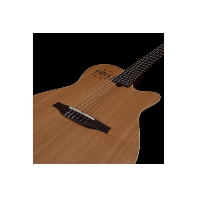 Godin 235917