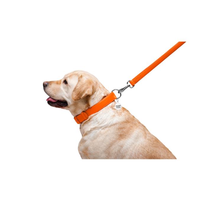 WAUDOG 33764