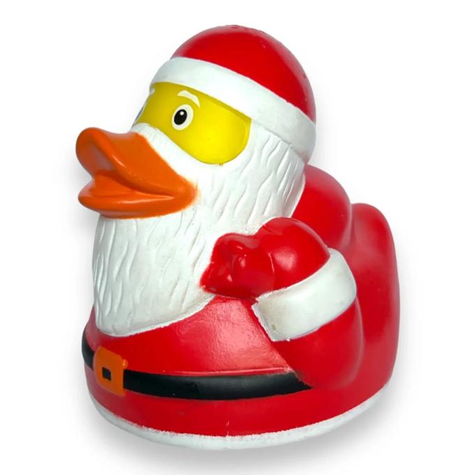 Funny Ducks 1322