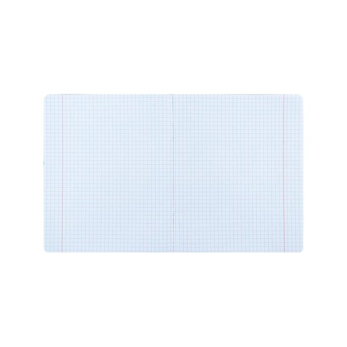 Kite AV24-232