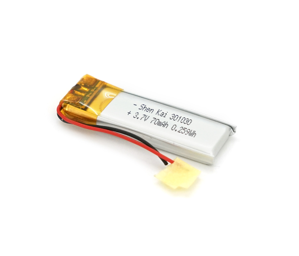 VOLTRONIC 301030