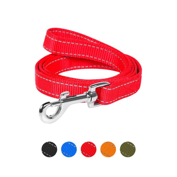Dog Extreme 42993