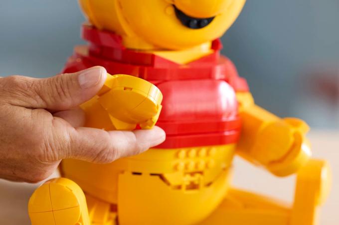 LEGO 43300