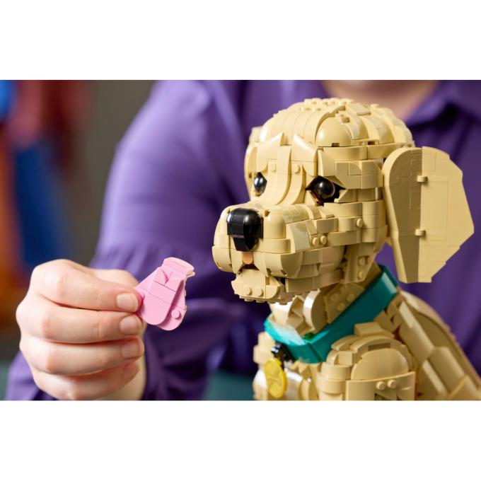 LEGO 11384