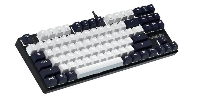 GamePro MK110B