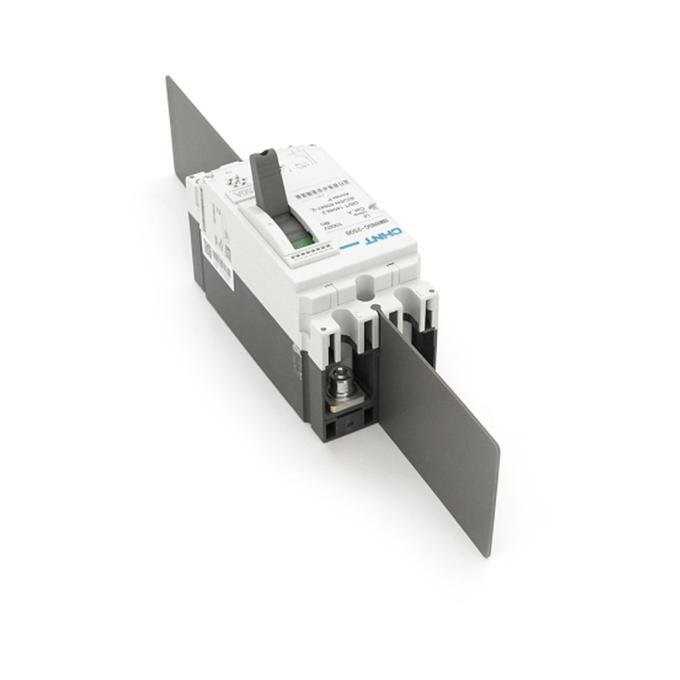 Chint NM8NDC-250B-DC500V-2P