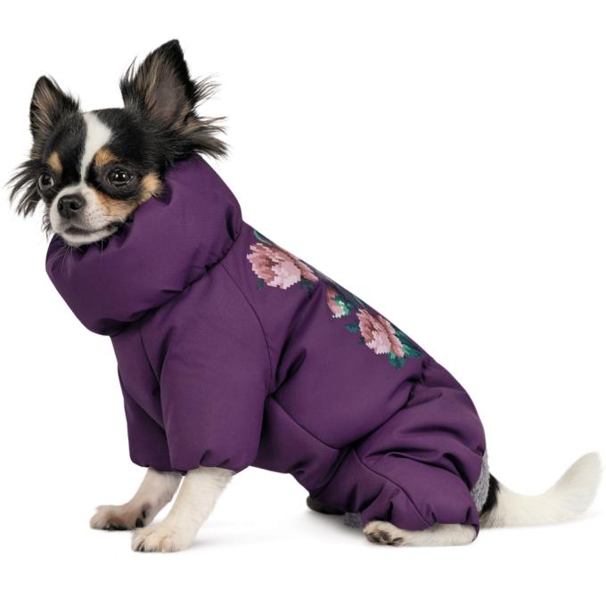 Pet Fashion 4823082432448