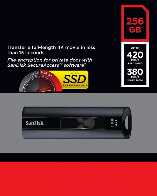 SANDISK SDCZ880-256G-G46