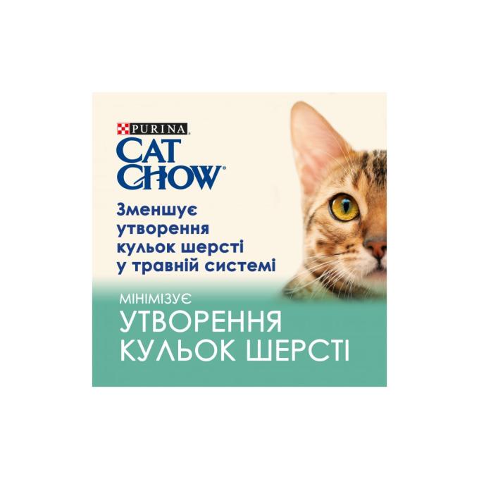 Purina Cat Chow 7613037031393