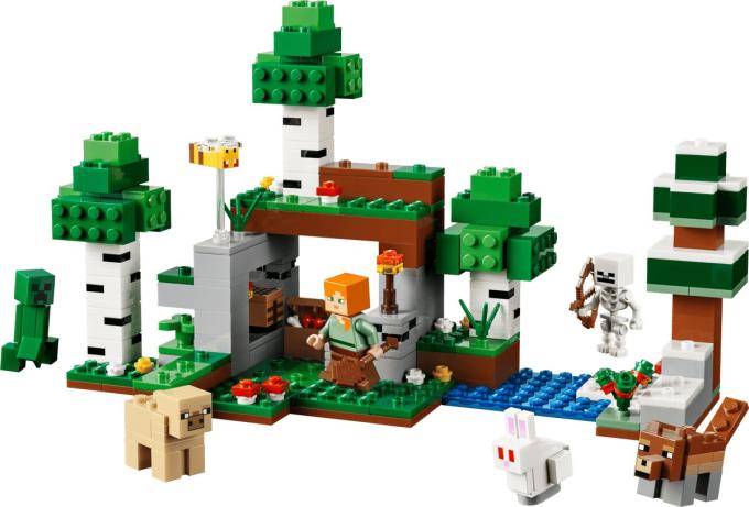 LEGO 21593