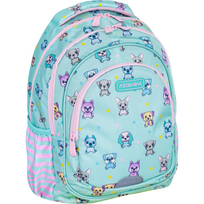 Astrabag 502024002