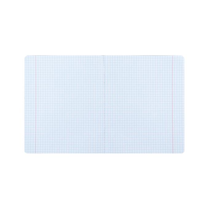 Kite NT24-236