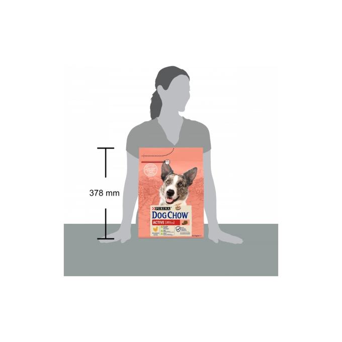 Purina Dog Chow 7613034487858