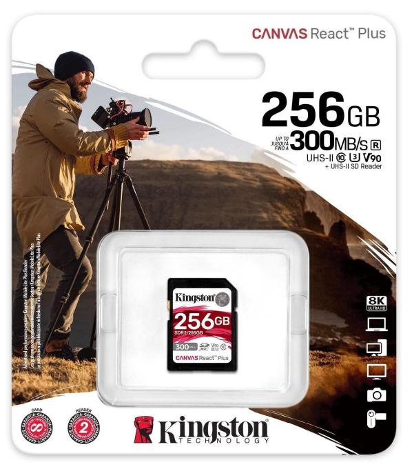 Kingston SDR2/256GB