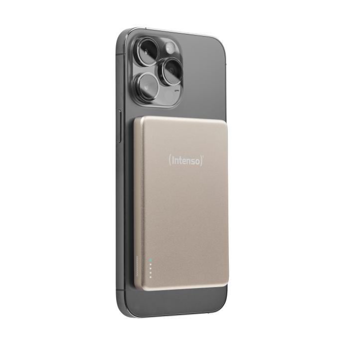 Intenso 7344021
