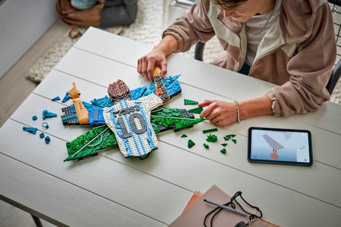 LEGO 43018