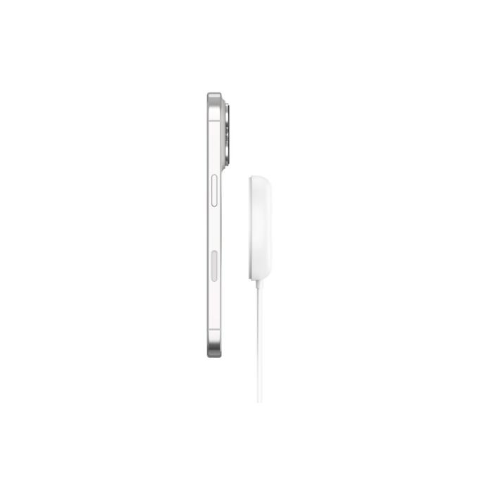 Belkin WIA011HQWH