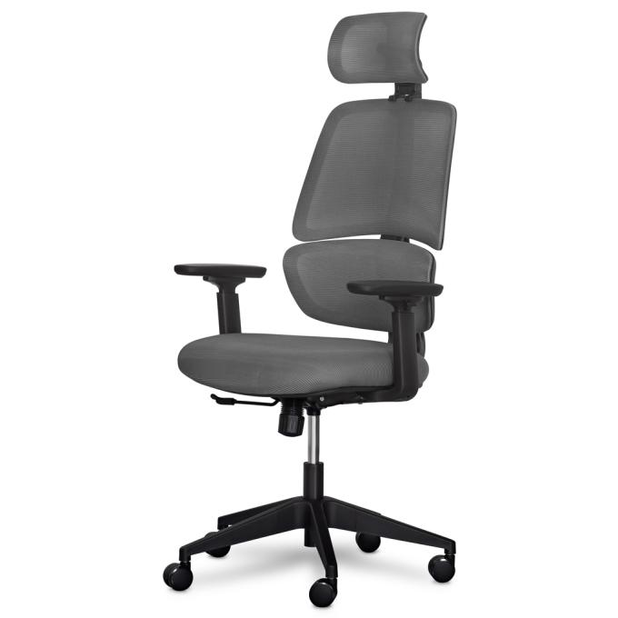 Mealux Y-543 KBG