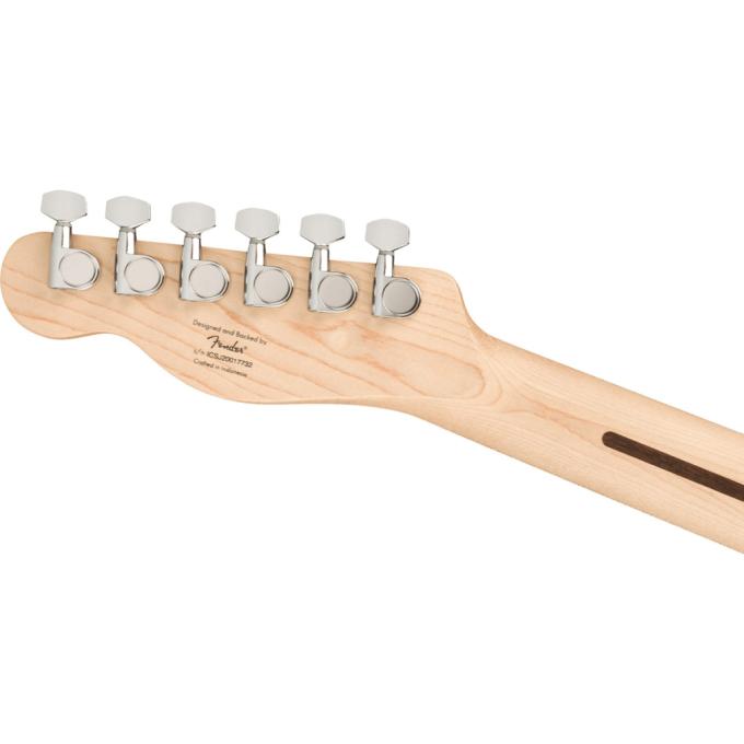 Squier by Fender 231502