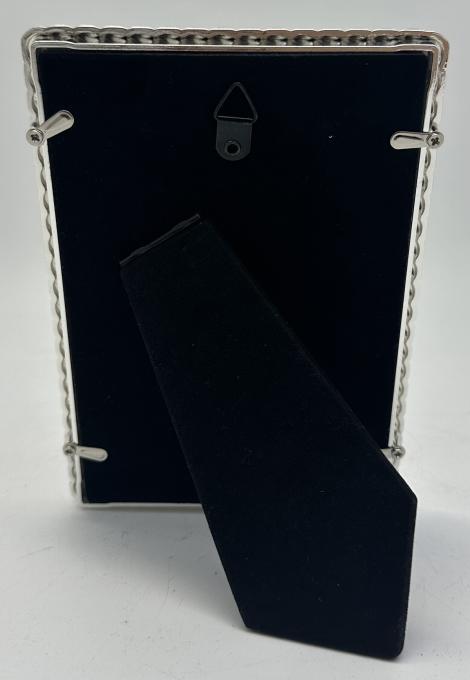 EVG Z13 Silver