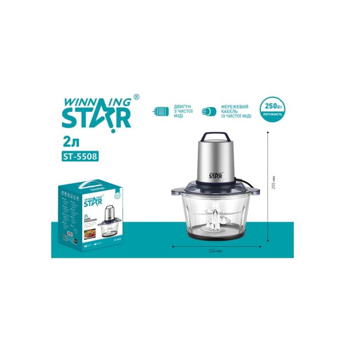 WINNINGSTAR ST-5508 250W 2L Silver