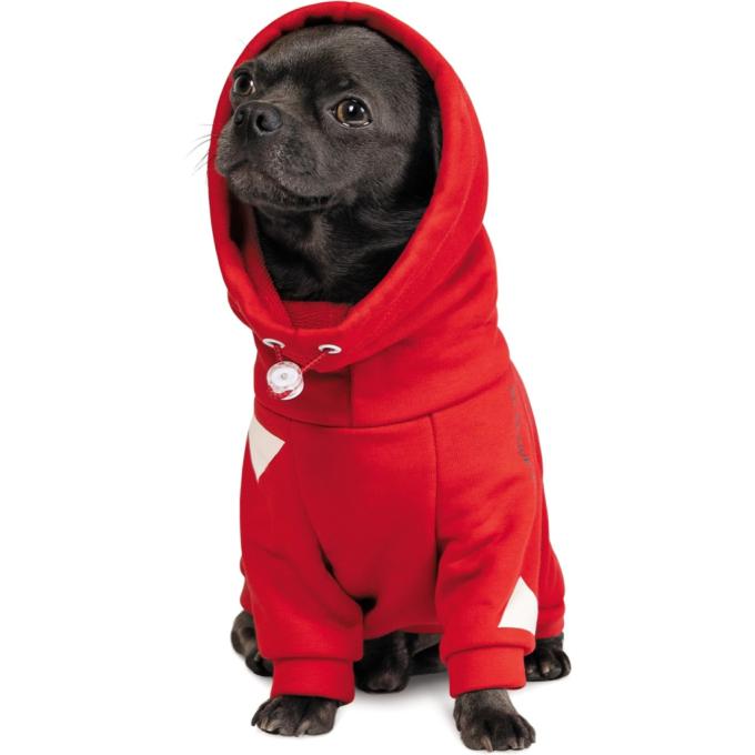 Pet Fashion 4823082423378