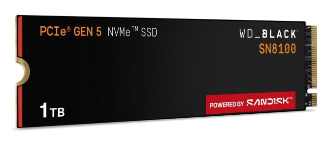 SANDISK WDS100T1X0M