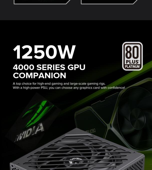 GAMEMAX GX-1250 PRO BK(ATX3.1PCIe5.1)