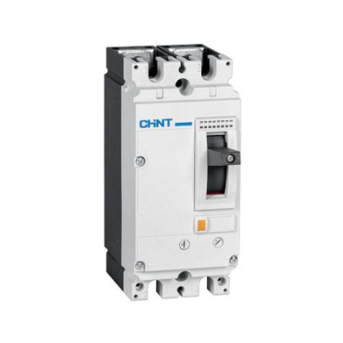 Chint NM8NDC-125B-DC500V-2P