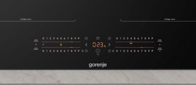 Gorenje GI6442BSCWF